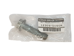 Vis Original Renault Nissan 123091465R 1230900Q0H