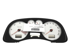 Bloc Compteurs Vitesse Peugeot 307 9661323180 E01 56528