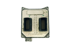 Calculateur 55564081 S0700604 5WK9425 Opel GM 33908