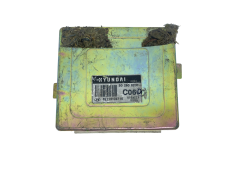 Calculateur Hyundai 39110-02710 S02808200 55518