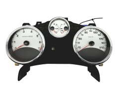 Bloc Compteurs Vitesse Peugeot 207 9666748780 49449