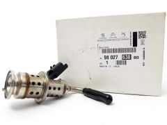 Injection De Combustible Original AdBlue Citroen Peugeot 1.6 HDi 9802763880