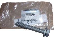 Vis Nouvelle Original 12x175 7703101463 Renault