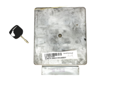Calculateur 95AB-12A650-UB LION  Ford 