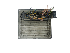 Calculateur S118107004C 3S61-12A650-CA Ford Siemens 38231