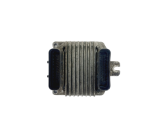 Calculateur Ecu 16250009 D99002 Opel 41581