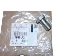Vis Nouvelle Original 4010A9 4010.A9 Citroen Peugeot
