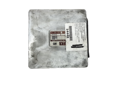 Calculateur 90356863 Opel  GM 21815