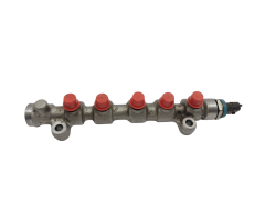 Rampe D'injection 0445214255 175216713R Renault 2.5 DCI 0281006188 Rampe D'injection 0445214255 175216713R Renault 2.5 DCI 0281006188