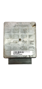 Calculateur YS4F-12A650-PA PANG Ford 21965