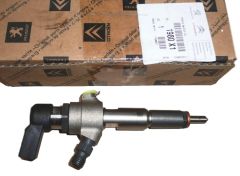 Injection De Combustible Nouvelle Original Citroen Peugeot C3 1.4HDI 1980X1
