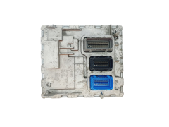 Calculateur 12694863 12693292 039045703 Opel GM 43321