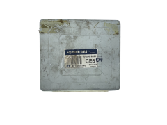 Calculateur 39110-02740 S02808224 Hyundai 55678