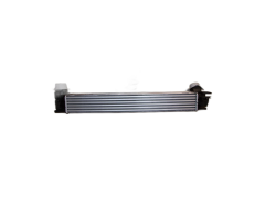 Refroidisseur D'Air REN 144960600R