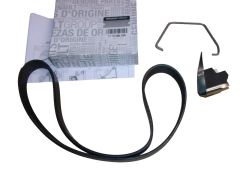 Courroie d'entraînement Original 117205678R Renault Dacia