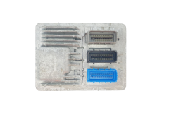 Calculateur Opel 12680881 12669908 811839393 Delphi GM 43365