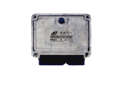 Calculateur 038906019FA 0281010629 Ford VW 45619