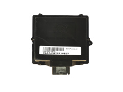 Calculateur LPG 10R-030831 67R-010020 110R-000044 Romano 28316