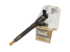 Injection De Combustible Original Renault 166007885R