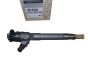 Injection De Combustible Original 166004686R Renault