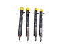 Injection De Combustible Complet 166000897R H8200827965 1.5 dci Delphi Renault