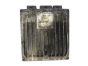 Calculateur 8200309910 8200331477 R0410C078A Renault Delphi 19907