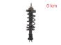 Amortisseur Avant 543023828R 540100864R 93463333 Renault Trafic 3 2.0 DCI