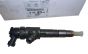 Injection De Combustible Original 1610578480 Citroen Peugeot