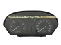 Bloc Compteurs Vitesse Skoda Fabia 6Y1919880A 110080015001 52355
