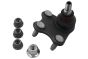 Rotule De Bras Droit Pour VW Audi Skoda 6R0407366 B18694 Borsehung