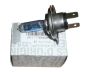Ampoule H4 12V 60/55W Nouvelle Original 267179842R Renault