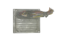 Calculateur Ford 6S61-12A650-FD S120977315D 2CJD Siemens 57586