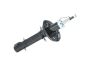 Amortisseur Avant Pour VW Seat 6N0413031M B18687 Borsehung