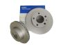 Disques de frein Avant Pour Citroen Peugeot 1612435180 BG4823C Delphi