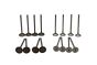 Valves Pour VW Audi Seat Skoda 03C109601M 03C109611R B18138 Borsehung