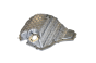 Carter D`Huile 06L103600F 11031819701 Audi Vika