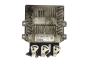 Calculateur 3S61-12A650-LC 5WS40140E-T Ford Siemens 18131
