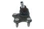 Rotule De Bras Droit 6R0407366 B11339 VW Audi Seat Skoda Borsehung