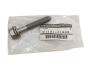 Vis Original Renault Nissan 0112101Q4G 7703602221