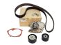 Kit De Courroie De Distribution Nouvelle Original Renault 1.9 dCi 119A04462R