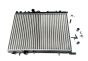 Refroidisseur Original Citroen C4 133351