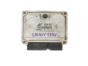 Calculateur 038906019BF 0281010221 Ford VW Bosch 44090