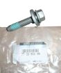Vis Nouvelle Original 7703602318 Renault
