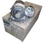 Démarreur Original 233004003R Renault