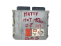 Calculateur LPG 67R011002 110R001001 031001 FLY SF BRC 64070
