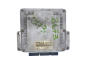 Calculateur 8200039569 8200078730 0281001934 Renault Bosch 63162