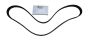 Courroie D’alternateur Original 6PK 117202503R Renault