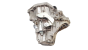Boîte De Vitesse TL4A001 TL4001 Renault Megane 2 1.5 DCi  7701700539 1019