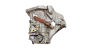 Boîte De Vitesse 20TT01 C1 107 Aygo 1.0 12v 2222QE 2231W4 1032