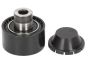 Galet Tendeur De Courroie Citroen Peugeot C3 C4 208 308 1.6 HDi 1613838180